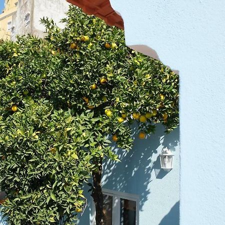 Proa D'Alfama Guest House Lisboa Exteriör bild